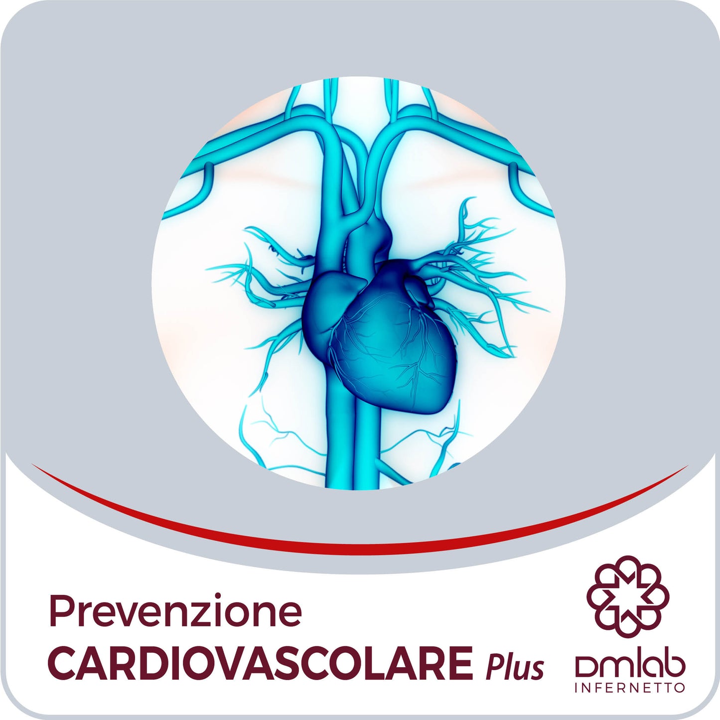 Prevenzione Cardiovascolare Plus