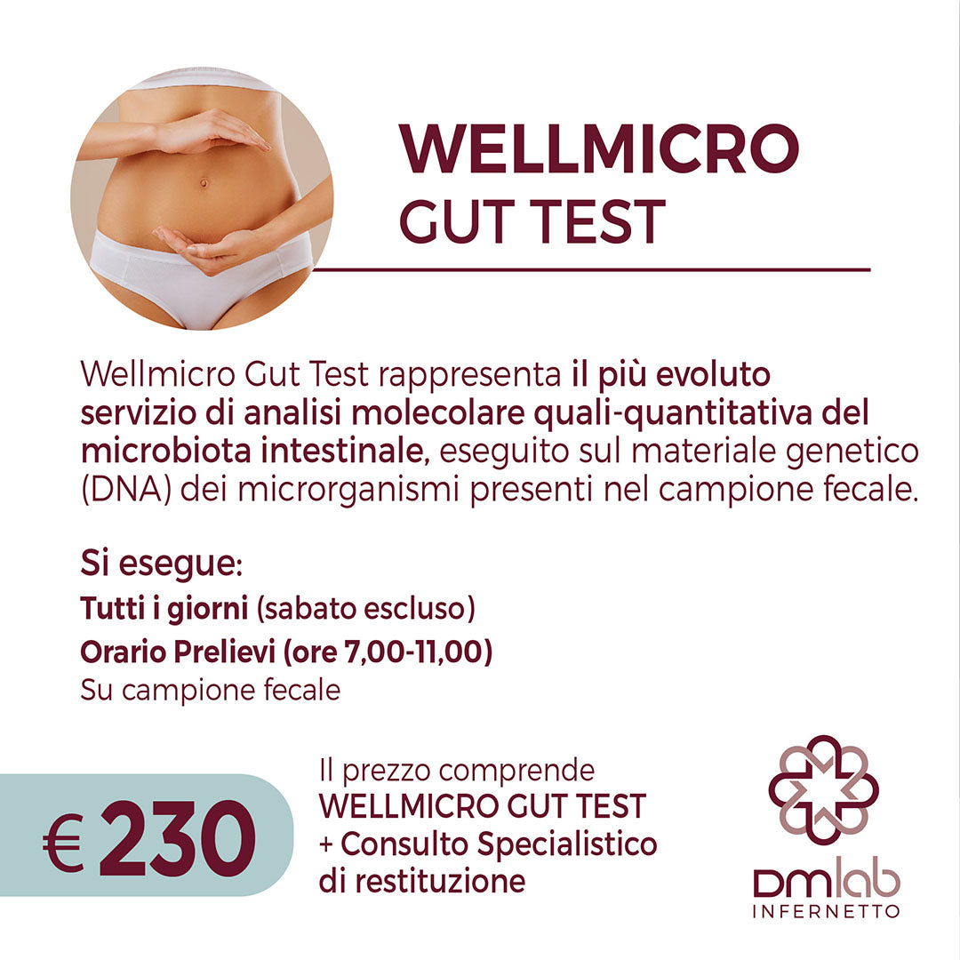 WELLMICRO GUT TEST