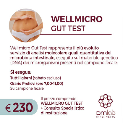 WELLMICRO GUT TEST