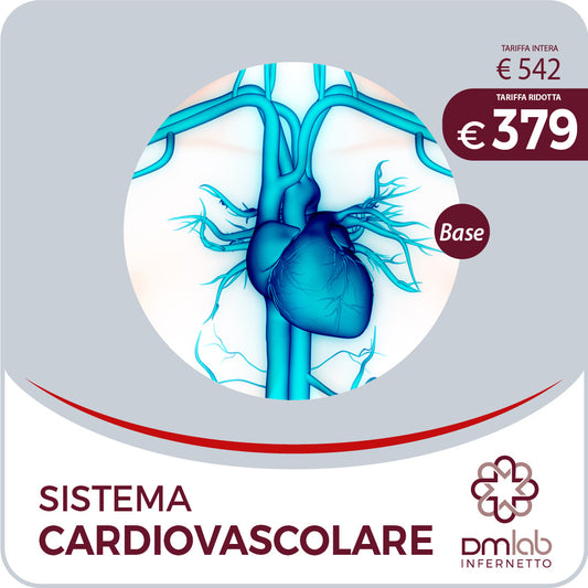 Sistema Cardiovascolare Base