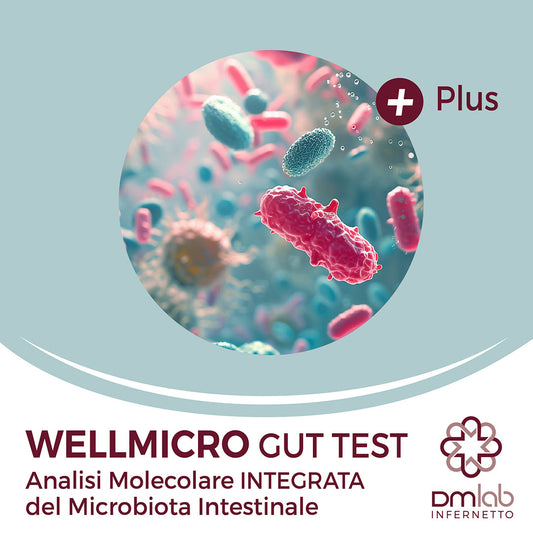 WELLMICRO GUT TEST PLUS