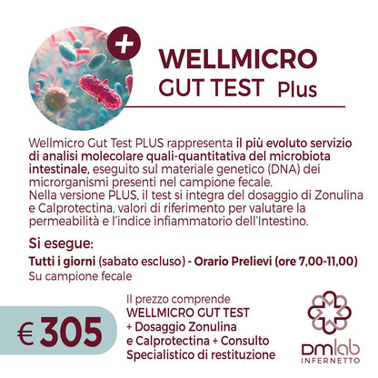 WELLMICRO GUT TEST PLUS