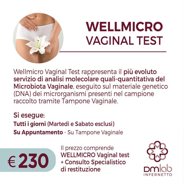 WELLMICRO VAGINAL TEST