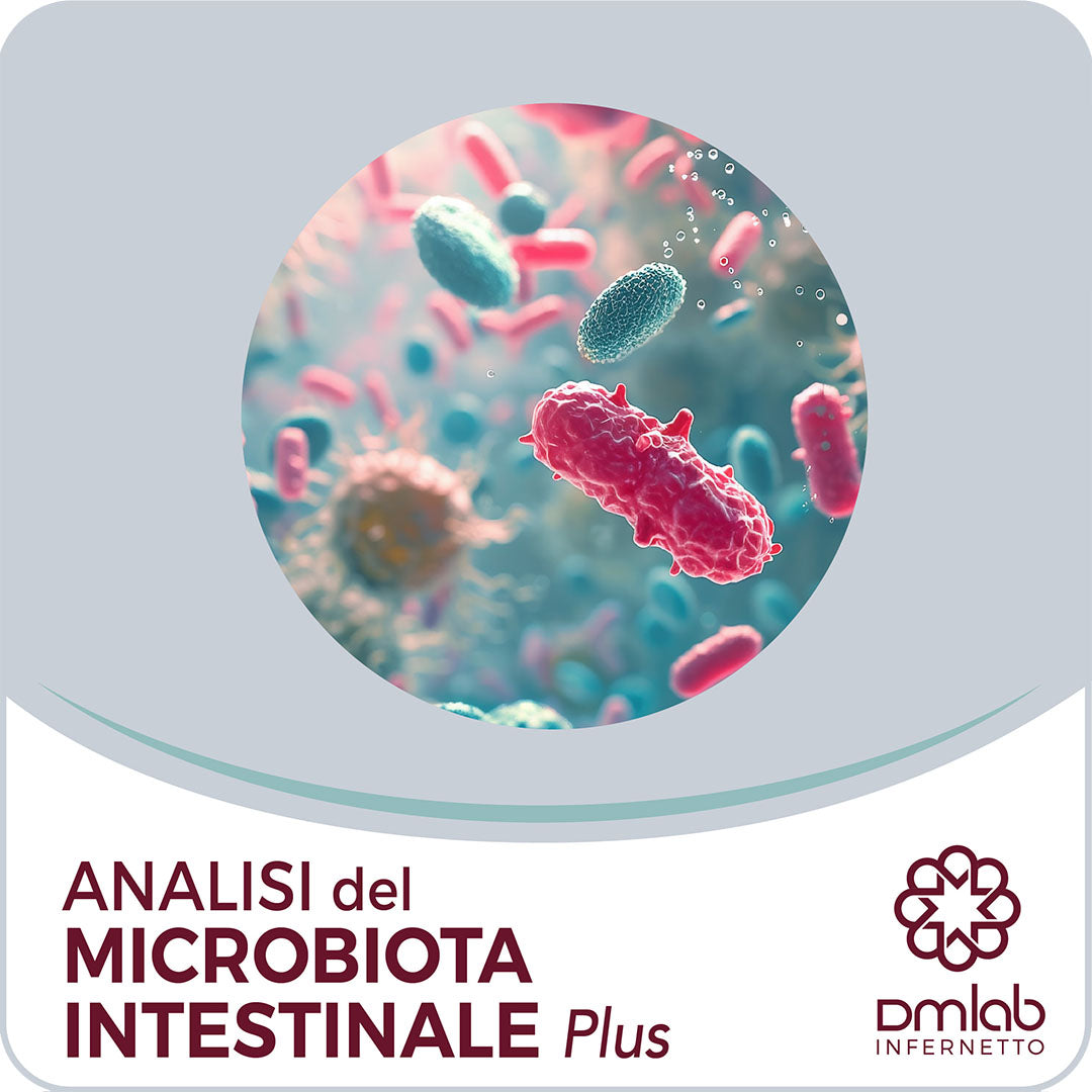 Analisi del Microbiota Intestinale Plus – DMLABINFERNETTO