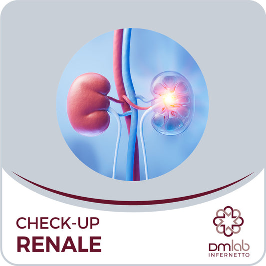 Check-Up Renale